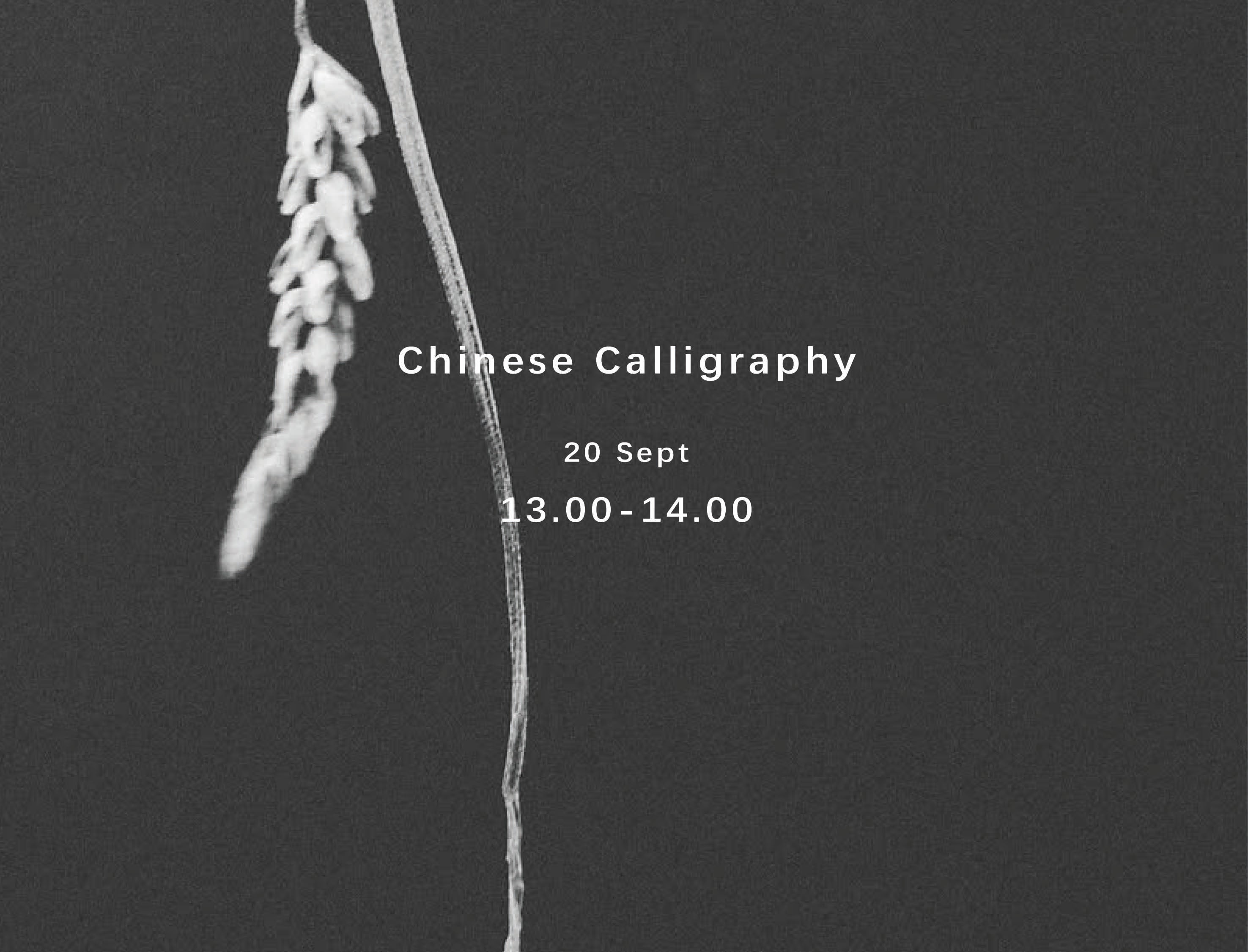 Chinese Calligraphy Workshop